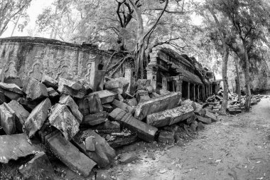 Angkor Thom, Kamboçya 'daki aşırı gelişmiş Ta Phrom tapınağının güzel siyah beyaz manzarası.