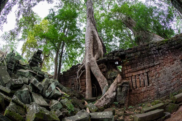 Vidvinkelvy Över Phrom Angkor Thom Kambodja — Stockfoto