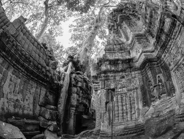 Hermosa Vista Blanco Negro Del Templo Phrom Angkor Thom Camboya — Foto de Stock