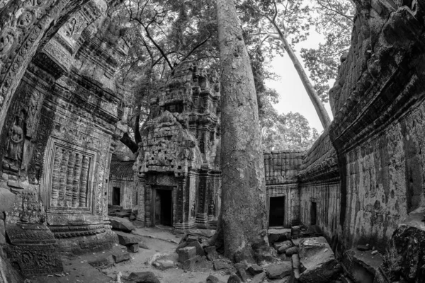 Hermosa Vista Blanco Negro Del Templo Phrom Angkor Thom Camboya —  Fotos de Stock