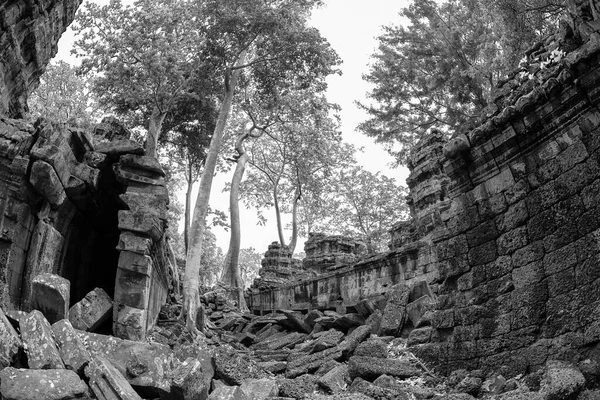 Hermosa Vista Blanco Negro Del Templo Phrom Angkor Thom Camboya — Foto de Stock