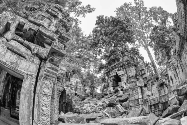 Чудове Чорно Біле Зображення Переповненого Храму Phrom Ангкор Томі Камбоджа — стокове фото