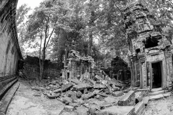 Gyönyörű Fekete Fehér Kilátás Túlméretezett Phrom Templom Angkor Thom Kambodzsa — Stock Fotó