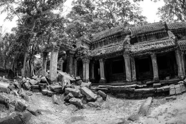 Vacker Svart Och Vit Utsikt Över Den Igenväxta Phrom Templet — Stockfoto