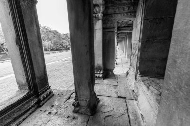 UNESCO miras sitesindeki siyah beyaz manzara Angkor Wat, Siem Reap, Kamboçya.