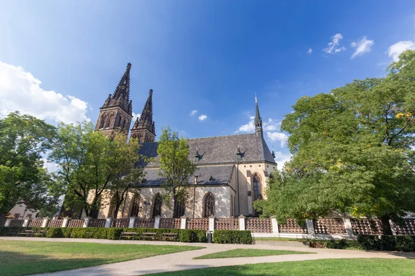 Wide Angle View Saint Peter Paul Cathedral Vysehrad Castle Prague Obrazy Stockowe bez tantiem