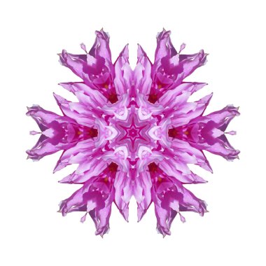 Beyaz arkaplanda çiçek mandala