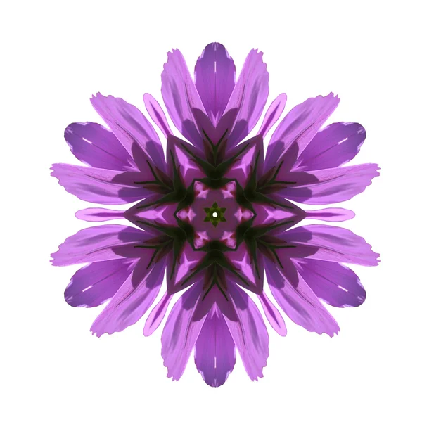 Beyaz arkaplanda çiçek mandala