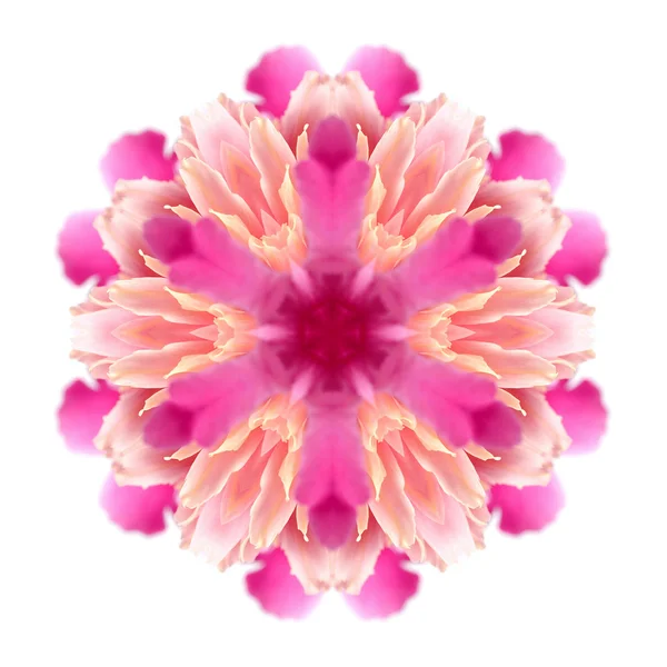 Blume Mandala auf weißem Hintergrund — Stockfoto