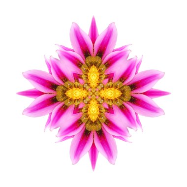 Menekşe çiçek mandala