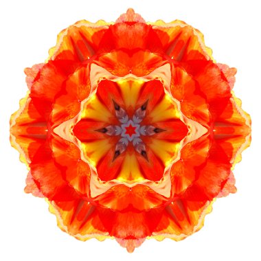 Çiçek Mandala