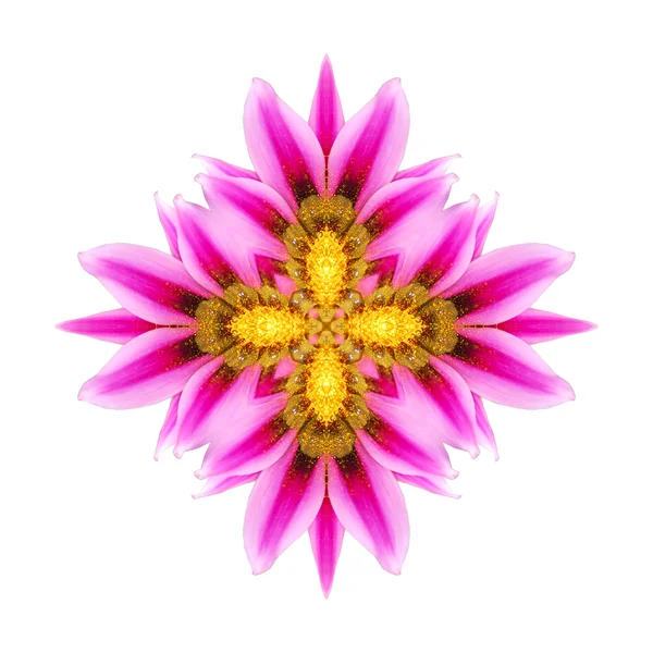 Mandala flor violeta — Fotografia de Stock