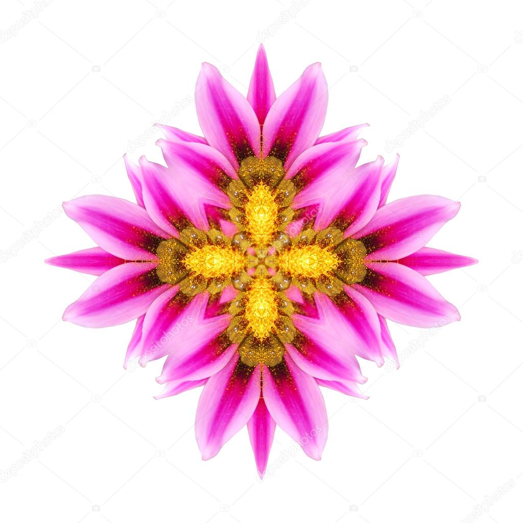 Violet flower mandala