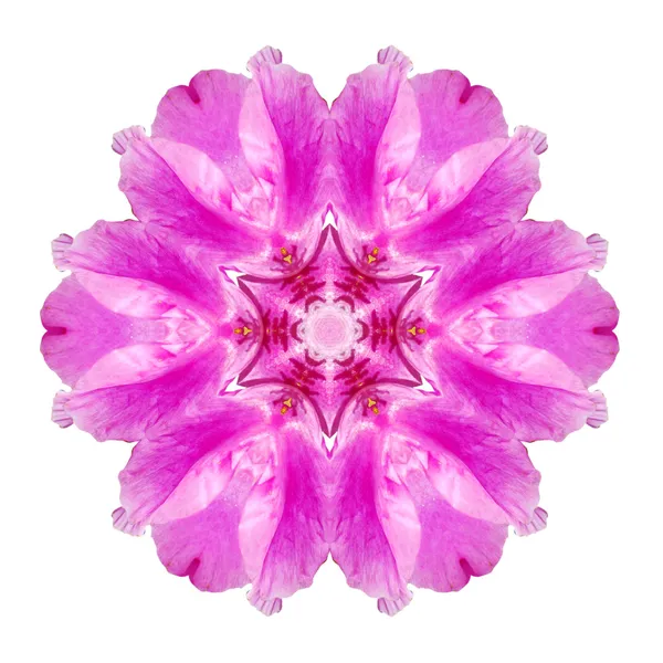 Pembe çiçek mandala