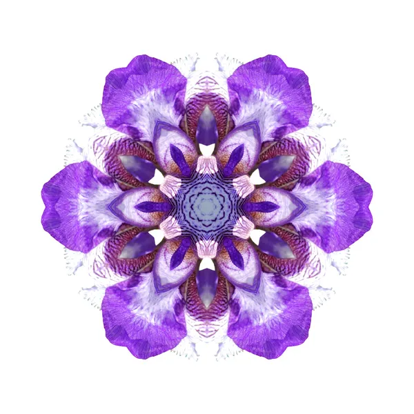 Menekşe çiçek mandala