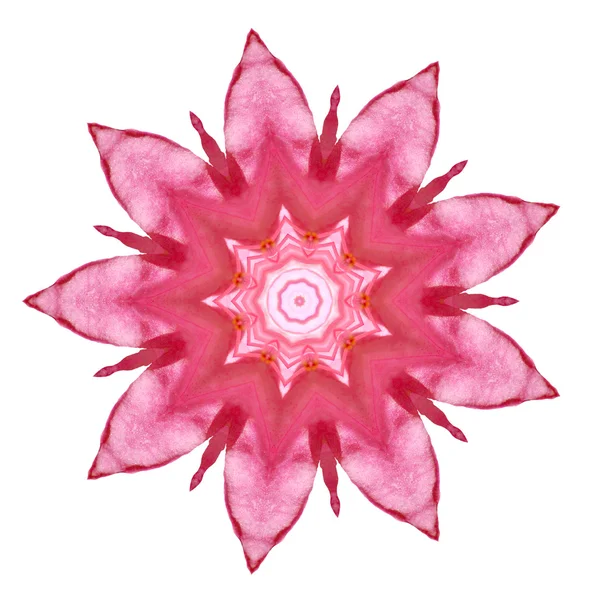 Flower mandala — Stock Photo, Image