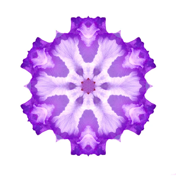 Mandala de fleurs — Photo