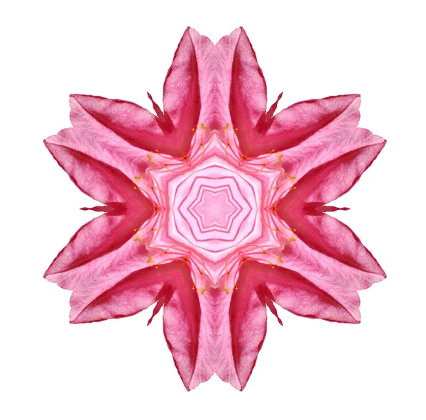 Flower mandala — Stock Photo, Image