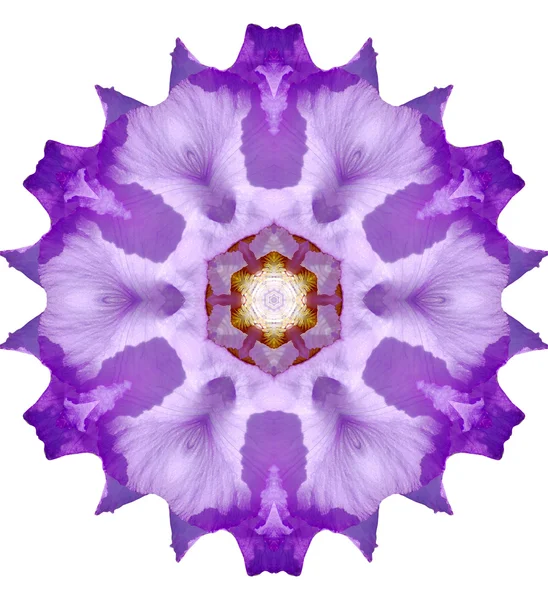 Mandala de flor —  Fotos de Stock