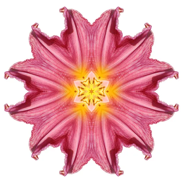 Flower mandala — Stock Photo, Image