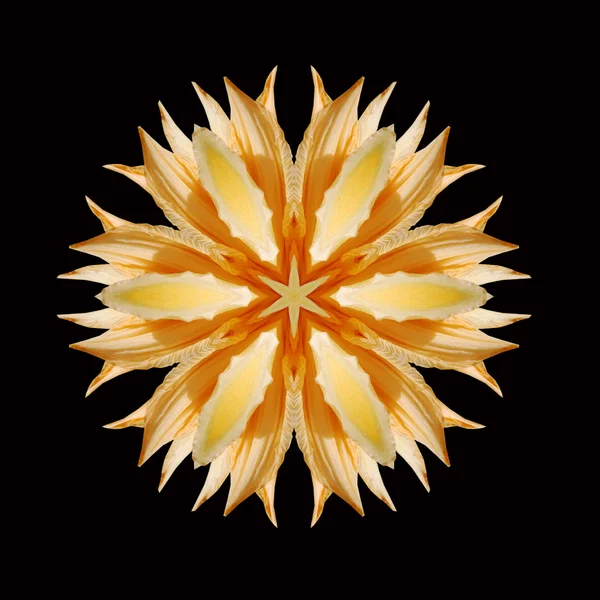 Mandala fiore — Foto Stock
