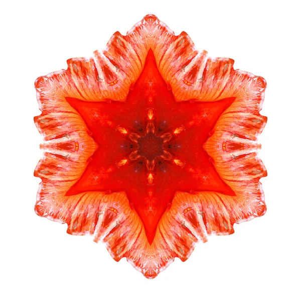 Blomma Mandala — Stockfoto