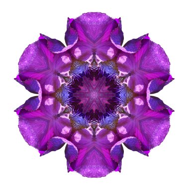 Beyaz arkaplanda çiçek mandala