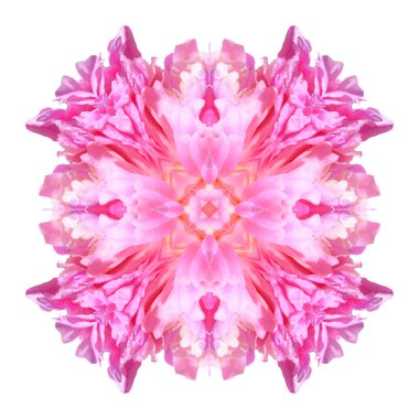 Beyaz arkaplanda çiçek mandala