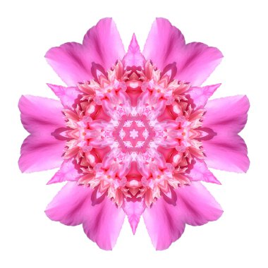 Beyaz arkaplanda çiçek mandala