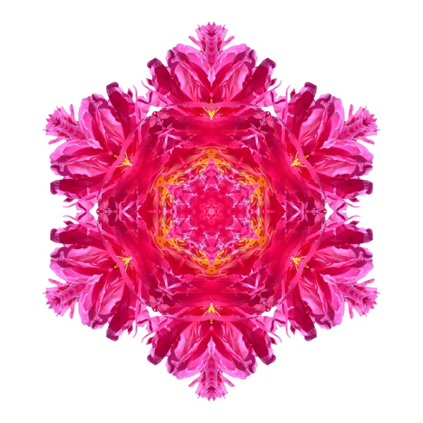 Mandala de flores sobre fondo blanco — Foto de Stock