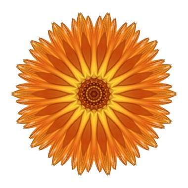 Beyaz arka plan üzerinde izole çiçek mandala