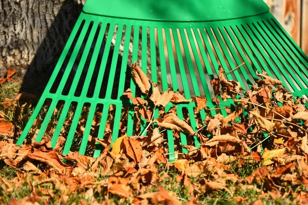 Une Image Grand Râteau Feuilles Vertes Une Pile Feuilles Automne — Photo