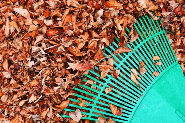 Top View Image Large Green Garden Rake Pile Brightly Colored — Stock Photo, Image