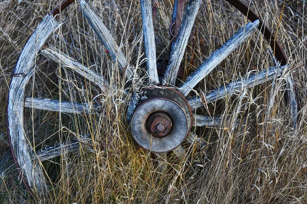 背の高い死んだ草の中に古いヴィンテージの木製ワゴンホイールのイメージ — ストック写真
