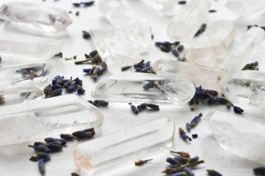 Beyaz arkaplanda kurumuş lavanta çiçekleri olan birkaç kuvars kristal noktasının yakın plan görüntüsü. 