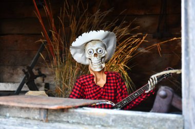 Bir açık hava Cadılar Bayramı etkinliği için kurulmuş bir iskelet görüntüsü. 