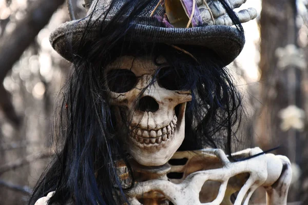 Uma Imagem Perto Esqueleto Halloween Decorado Como Pirata Para Uma — Fotografia de Stock