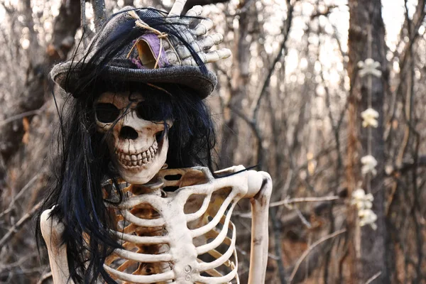 Una Imagen Viejo Esqueleto Exhibido Como Pirata Para Paseo Fantasma — Foto de Stock