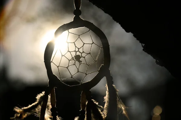 Uma Imagem Silhueta Apanhador Sonhos Pendurado Galho Árvore Pôr Sol — Fotografia de Stock