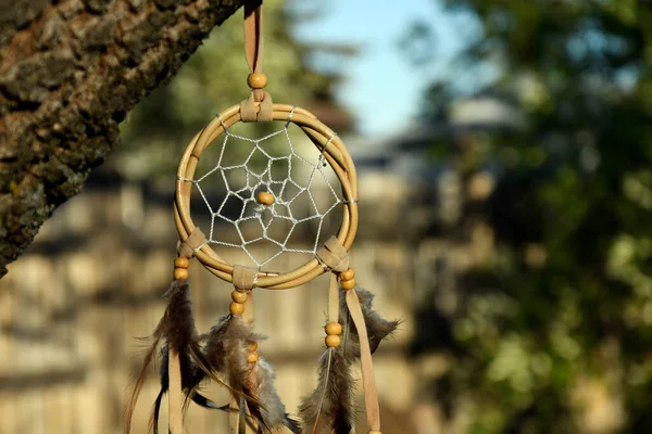 Uma Imagem Perto Dreamcatcher Colorido Bronzeado Pendurado Galho Árvore Verão — Fotografia de Stock