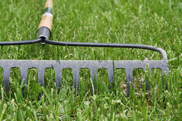 Eski bir metal bahçe tırmığı ve uzun yeşil çimlerin yakın çekimi.. 