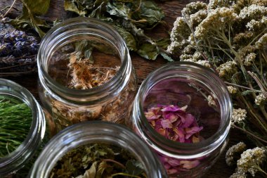 A top view image of several glass jars filled with dried wild flowers which are used in making herbal medicine. 