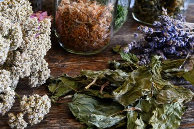 A low angle image of several types of wildflowers used in making herbal medicine.