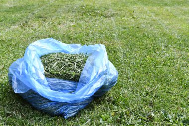 A close up image of a single blue recycling bag full of grass cuttings and ready for the compost. 