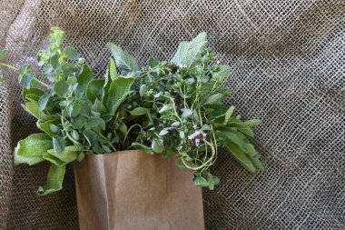 An image of several types of organically grown herbs freshly picked and placed in a brown paper bag. 