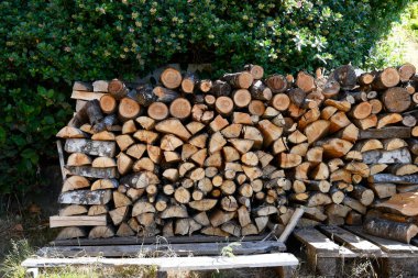 An image of neatly cut and stacked firewood resting on wooden pallets.  clipart