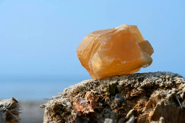 Image Large Honey Calcite Crystal Perched Piece Drift Wood Ocean — Stock Photo, Image