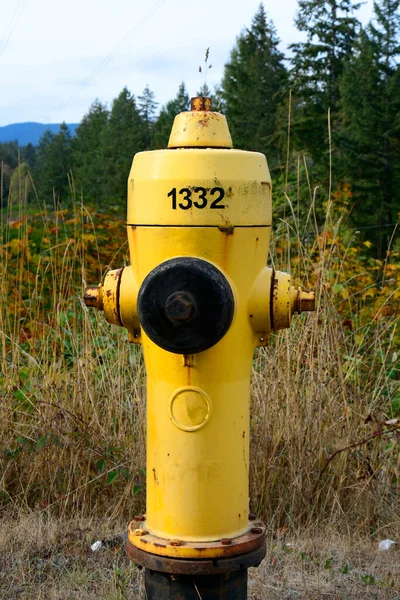 Obraz Jasnożółtego Hydrantu Ognia Otwartym Polu — Zdjęcie stockowe