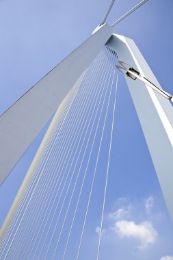 ayrıntı erasmus Bridge Rotterdam, Hollanda