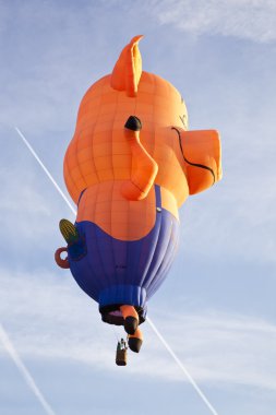 barneveld, Hollanda - 17 Ağustos 2012: renkli domuz balon alarak